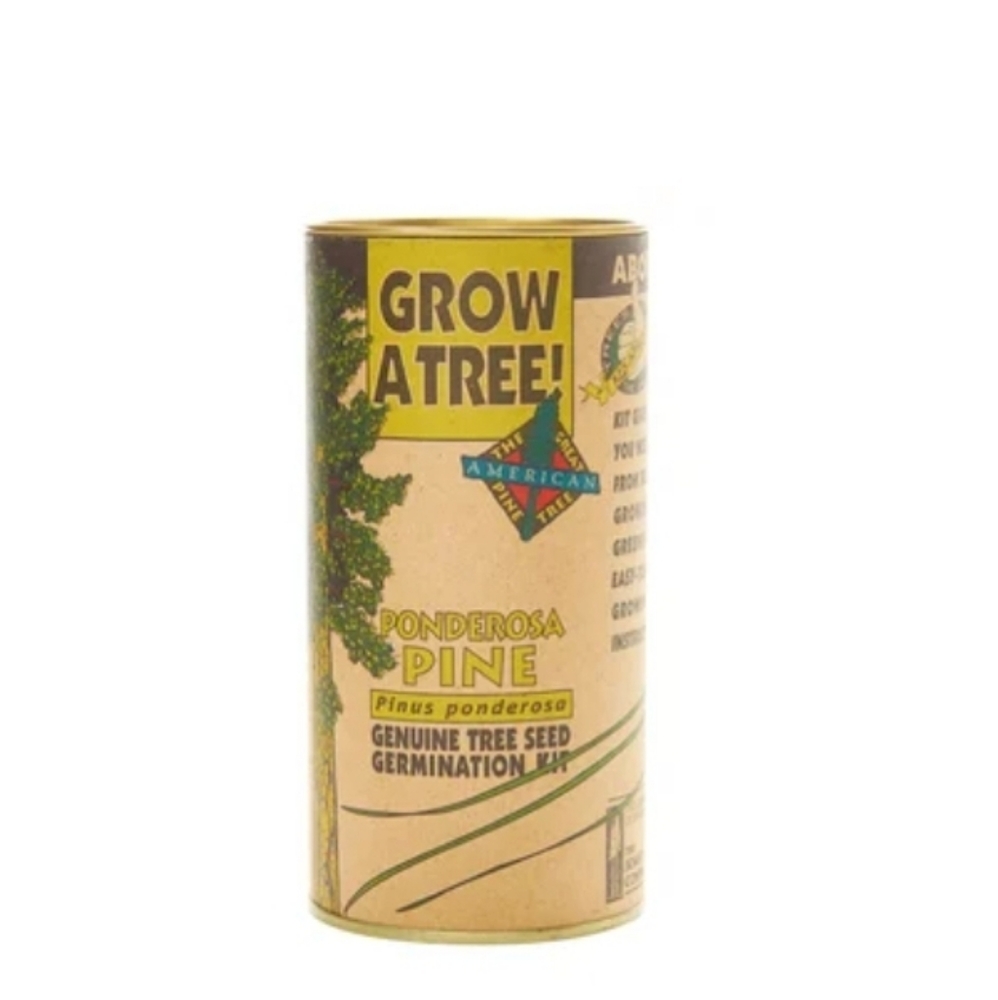 The Jonsteen Company - Ponderosa Pine | Seed Grow Kit